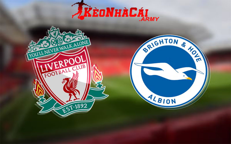Soi Kèo Liverpool vs Brighton - Vòng 10 NHA 22h00 2/11